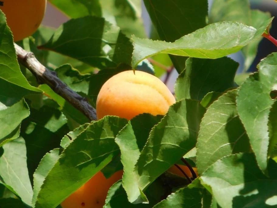 Maisonnette De Jardin Marseille Ngoại thất bức ảnh