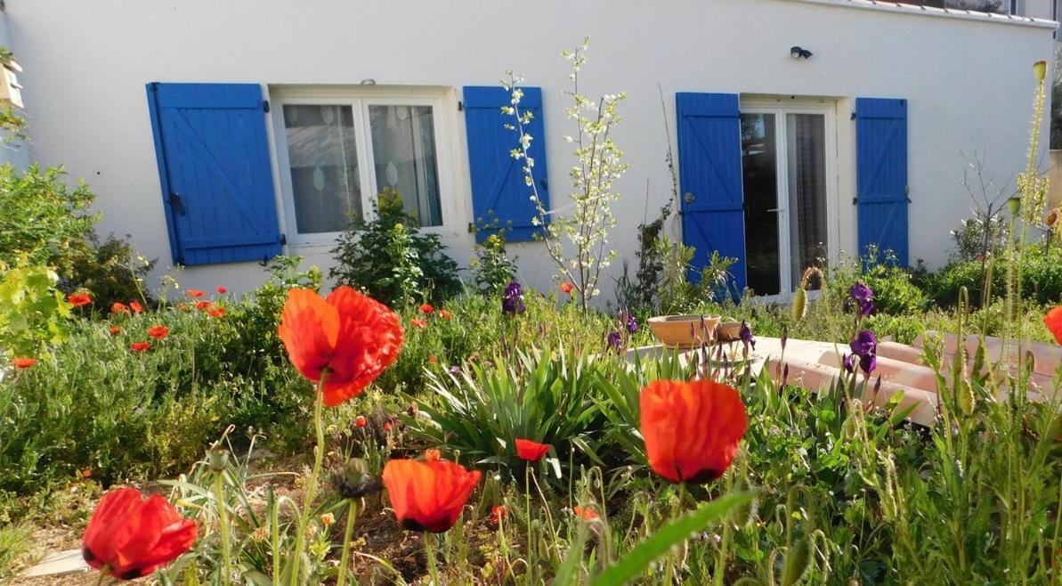Maisonnette De Jardin Marseille Ngoại thất bức ảnh