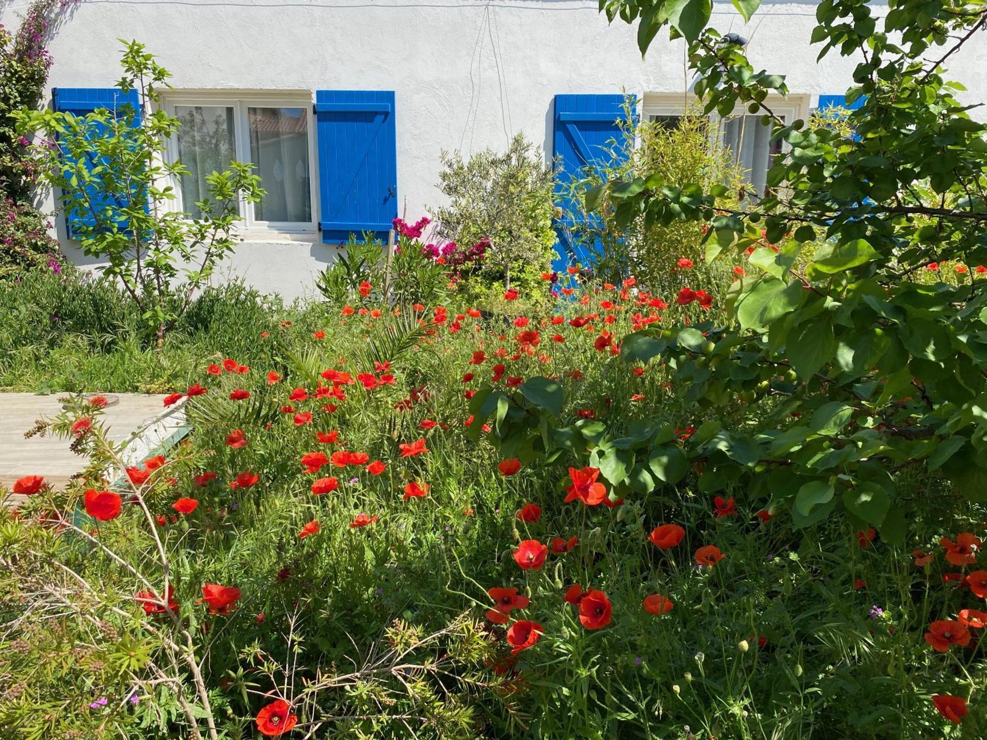 Maisonnette De Jardin Marseille Ngoại thất bức ảnh